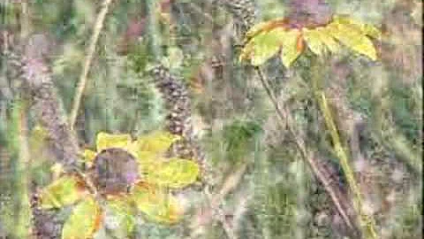 Jeanne Jones - Natural Wonders - Wildflowers