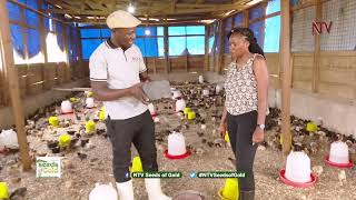 Exploring poultry farming at Kyanja Agricultural Resource Centre | SEEDS OF GOLD