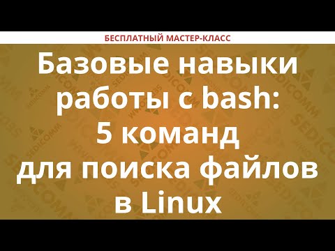 Базовые навыки работы с bash: 5 команд для поиска файлов в Linux