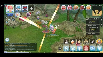 Ro mobile paladin agi build test damage