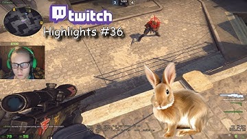When Your Bhop And Aimbot Script Finally Starts Working ( ͡° ͜ʖ ͡°) - Twitch Highlights #36