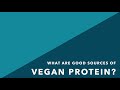 How do vegans get their protein?  | VegAnswers with Matt Ruscigno