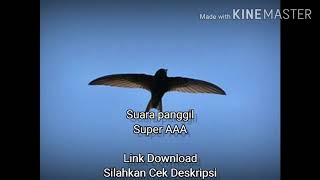 Super AAA