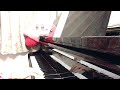 みちくさ / 浜田省吾  / In the Fairlife  /  Piano  Cover