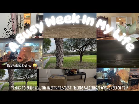 🌊A Busy Week In My Life/ Best Friends Wedding/ Packing📦/ Beach Trip