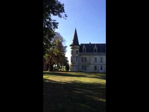 Video: Castelul „Downton Abbey” De Pe Airbnb