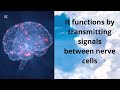 How Dopamine Controls Your Brain, Motivation & Cravings 🧠
