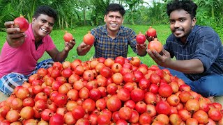 150 Kg POMEGRANATE | Pomegranate Fruit Cutting and Juice Making Skill | In Our Village