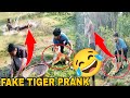 Fake tiger prank 2024  new funny pranks