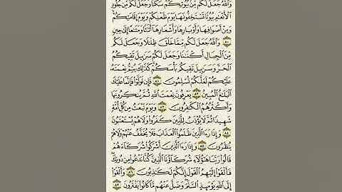 سورة النحل من الآية ٨٠ إلى الآية ٨٧بصوت القارئ ماهر المعيقلي #القرآن_الكريم #اذكر_ربك_في_تغريده