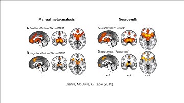 OHBM 2018: Tal Yarkoni