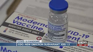 CDC says new Omicron strain making its rounds