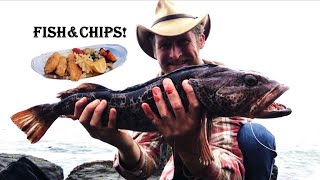 How to Catch MORE LINGCOD from Shore + Forage and Cook!