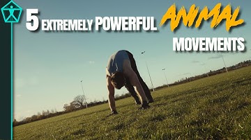 5 Animal Movements That Can Change Your Body FAST