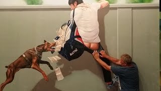 Art Samui trick art - 3D art gallery part one