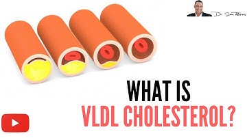 ► What Is VLDL Cholesterol ? - by Dr Sam Robbins