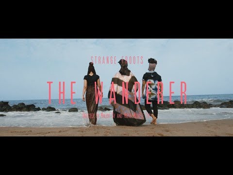 Strange Froots - The Wanderer (Official Music Video)