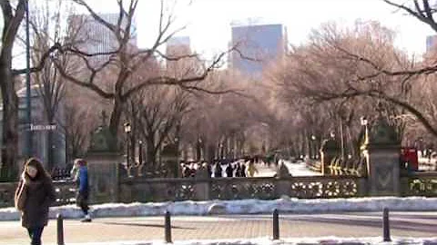 New York - Central Park on Christmas Day 2008
