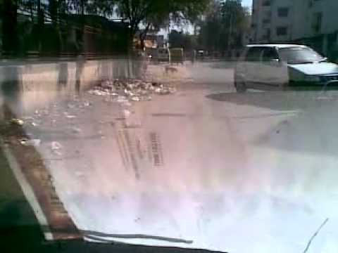 DTharaIAS AMC ChandaModi Cows Eat Ahmedabad Garbage 24032015