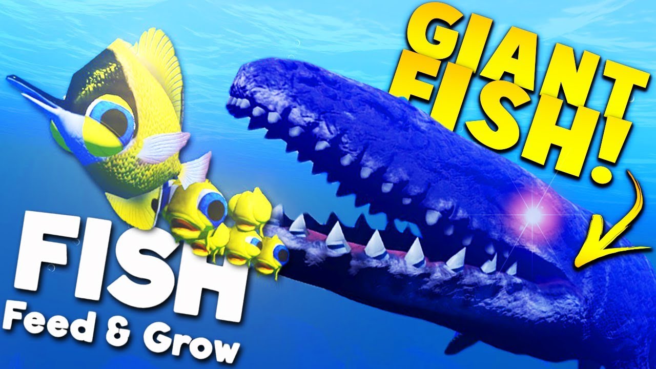 Category:Shelled Creatures, Feed and Grow Fish Wikia