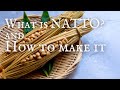 What is NATTO & How to Make It? | FERMENTATION | Takoshiho Cooks Japan