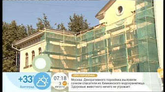 На «Первом канале» в программе «Доброе утро» обсудили применение энергоэффективных технологий при капремонте