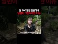 월 500벌던 일본아내 남편이 그만두게한 이유?