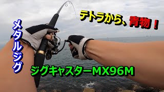 【ライトショアジギング】「テトラから青物は専用ロッドが良い。ダイワ：ジグキャスターMX96Mを使ってハマチを釣る」