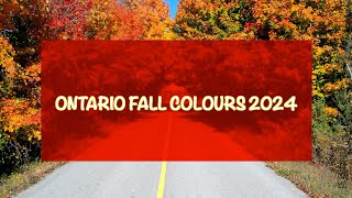 Ontario Fall Colours 2024
