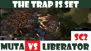 The perfectly Baited Trap - Liberators v Mutalisks