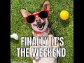 Chill Friday Stream!