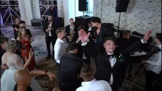Leo de la Rosiori - E mult,E greu ( Nunta Raluca & Raphael) | Live 2025