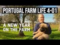 New Addition to the Farm | Estrela Mountain Dog Puppy | PORTUGAL FARM LIFE S4-E01