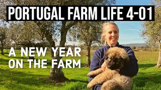 New Addition to the Farm | Estrela Mountain Dog Puppy | PORTUGAL FARM LIFE S4E01