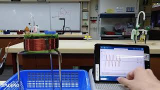 161 Magnet and Coil (Faraday's Law)