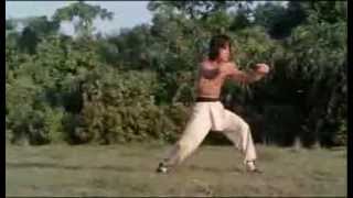 Jackie Chan - Training of the Drunken Master