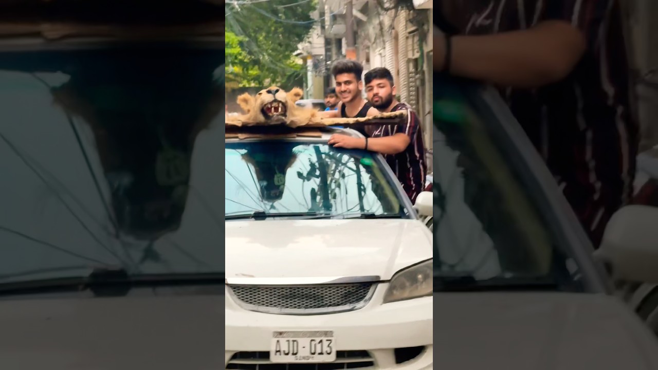 Bhot yad ati Simba ki batain😭💔 #ytshorts #lion #sad #brokenheart #death #simba #viralreels #pets
