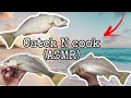 Dockweiler beach fishing  asmr catch and cook