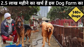 140 से भी ज्यादा Dogs हैं इस Dog Kennel पर | BK Kennel