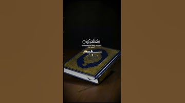 قرآن#قرآن #اسلاميات #قصص_القرآن #إسلاميات #صوت_خاشع #تلاوة #قصص_القران #قران #اكسبلور #قرأن