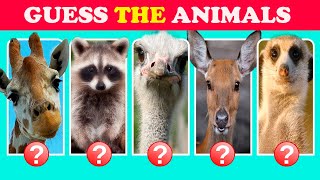 DIFFERENT ANIMALS NAME WITH PICTURE🦓🐷🐢🐸🐇