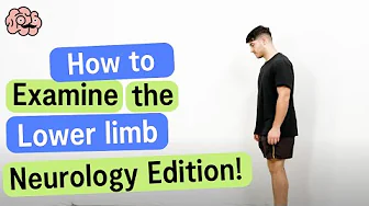 Lower Limb Neurological Examination - OSCE Guide | UKMLA CPSA | PLAB