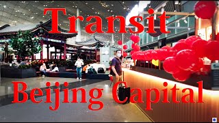 【Airport Tour】2023 How to Transit at Beijing Capital Airport (PEK)