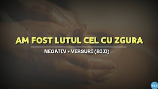 Negativ - AM FOST LUTUL CEL CU ZGURA (Biji)