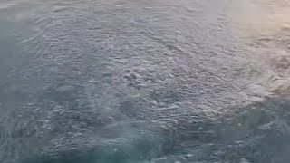 Sapancada Gaz Çıkışı Deprem Mi Geliyor ? Yatırımlara Ortak Olabilirsiniz. Berk Balbay 153. Bölüm