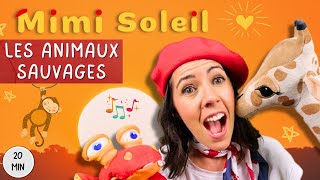 Les animaux sauvages avec Mimi Soleil | Safari, Jungle, Savane | Vidéos éducatives pour enfants