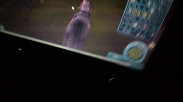 sso random video. XD wf. Isla Bluestar