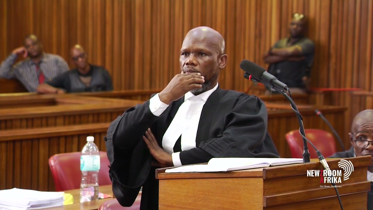 Ntanzi takes stand to detail alleged police assault