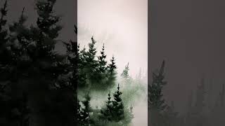 Magical and dreamy watercolor art #art #paintingtechnique #watercolortips #pinetrees #landscapeart