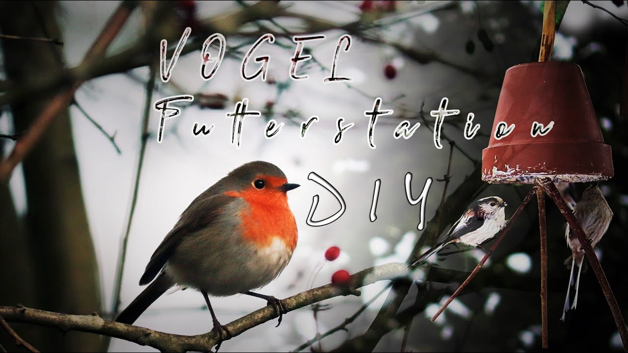 VOGEL Futterstation DIY | Alternative oder Ergnzung zum Vogelhuschen |  Natrlich & mobil